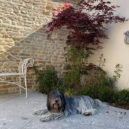 Di Zenzero - Casa San Vittore * رافيننا